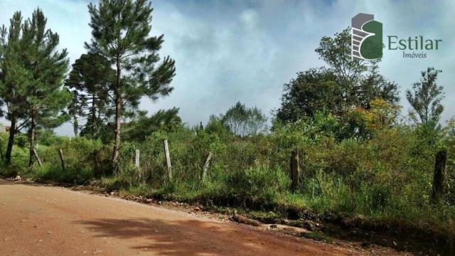 Chácara no curralinho em são josé dos pinhais. - Foto 8