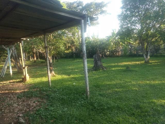 Troco ou vendo chácara - Foto 17