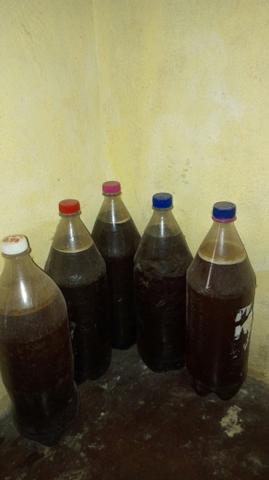 Vende-se Farinha/Tapioca e Mel Tiuba/Abelhão - Foto 4