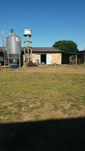 Terreno rural - Foto 4