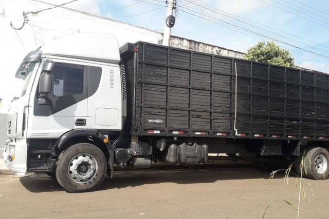 TECTOR 240E25 IVECO BOIADEIRO