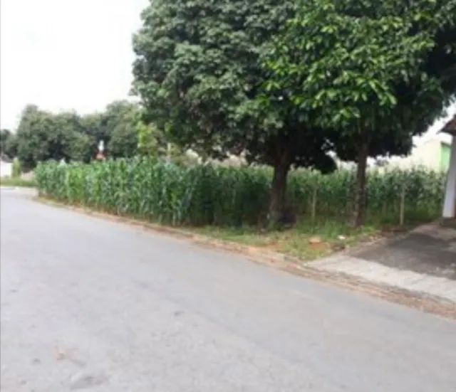 Área 920,69 m2 Jardim Presidente  - Foto 4