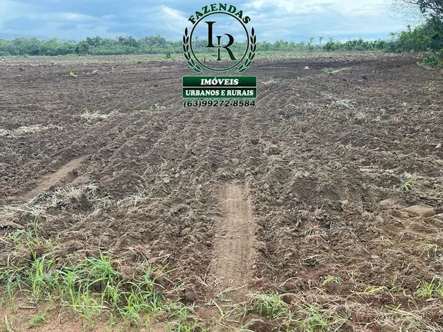 Fazenda 462 Alqueires Beira Lago Palmas Dupla Aptidão - Foto 4