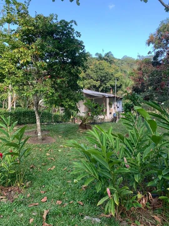 Sítio em Pacoti - Foto 2