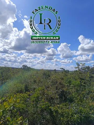 Fazenda 119 Alqueires Bruta Dupla Aptidão - Foto 5