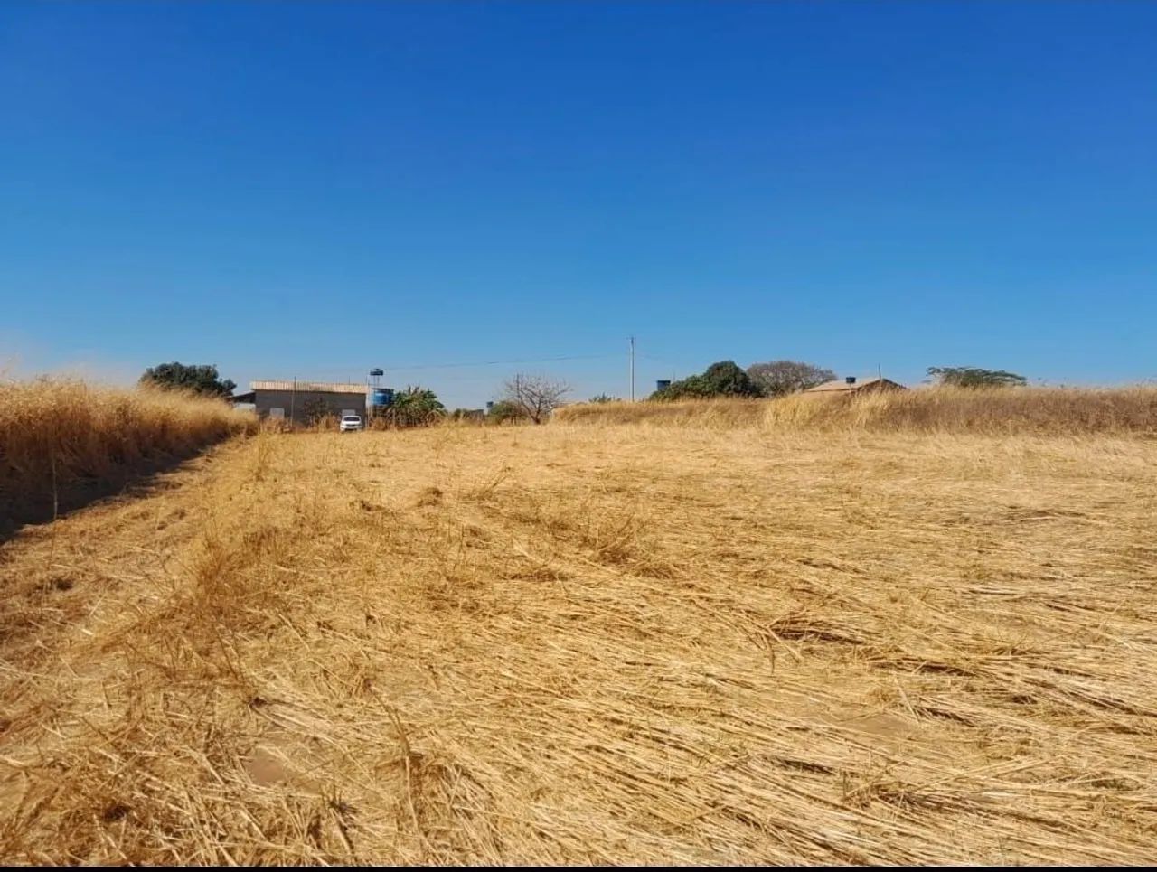 Chácara 35 km de Goiânia  - Foto 6