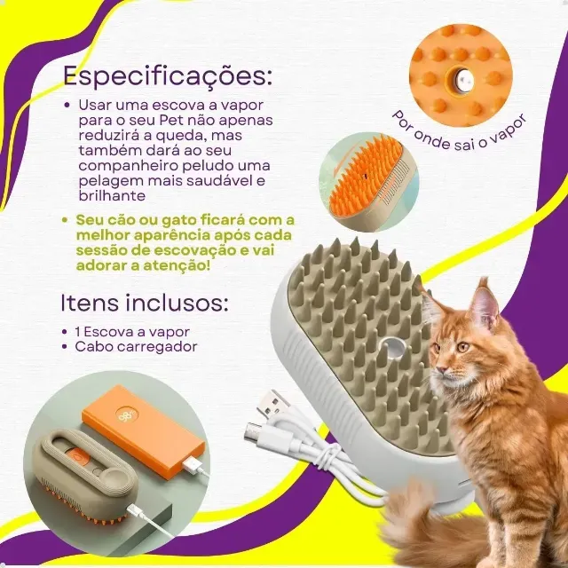 ? CHEGA DE PELOS SOLTOS E BAGUNÇA!