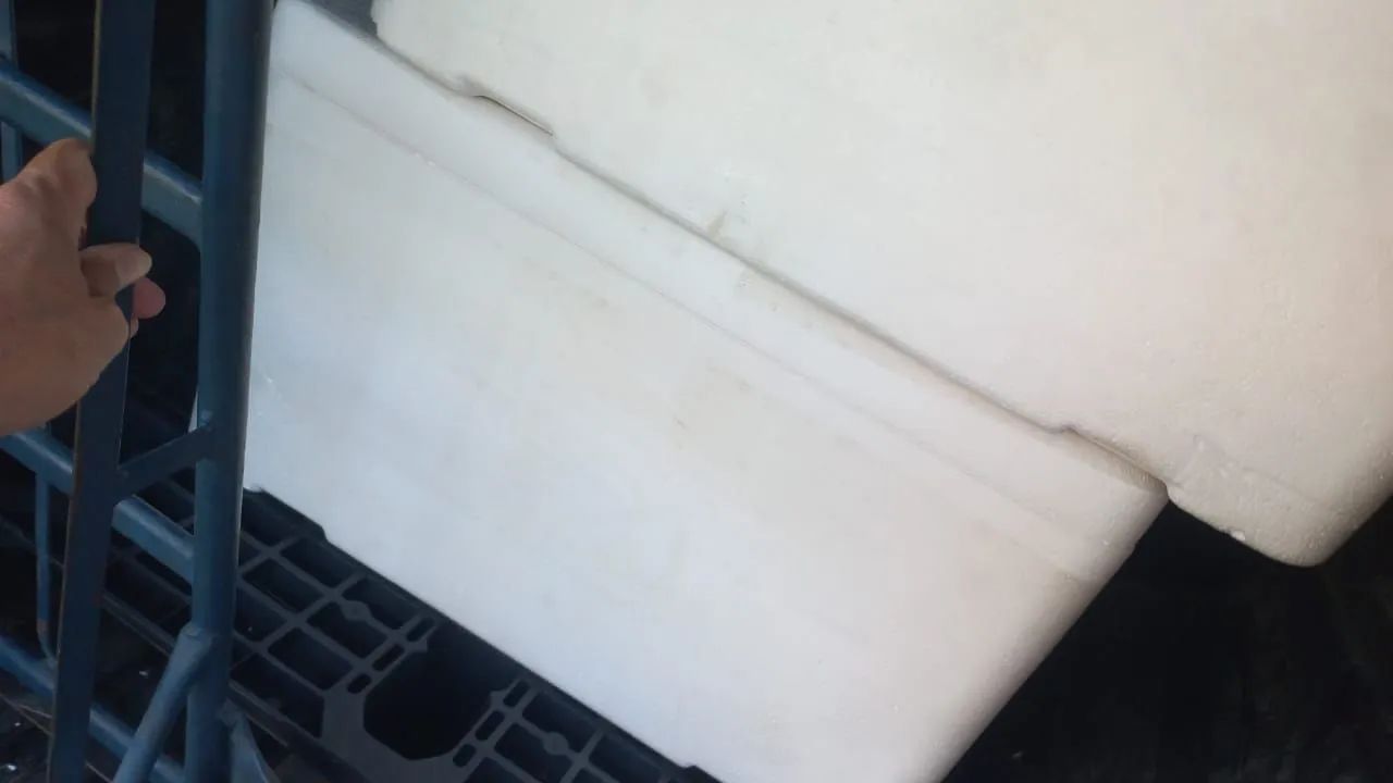 Caixas de isopor64231823847681121