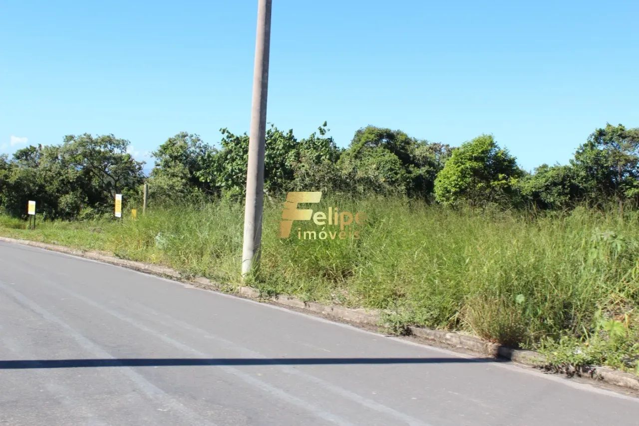 TERRENO AMPLO E LINEAR EM UBÚ! - Foto 4
