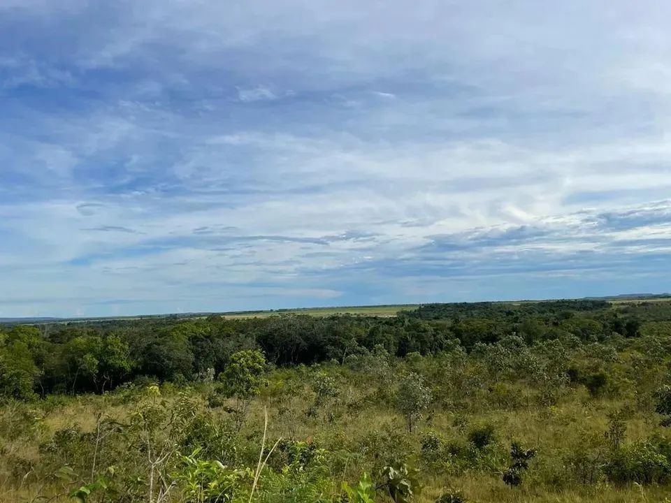 Fazenda para Venda em Santa Maria do Tocantins, Santa Maria do Tocantins - Foto 2