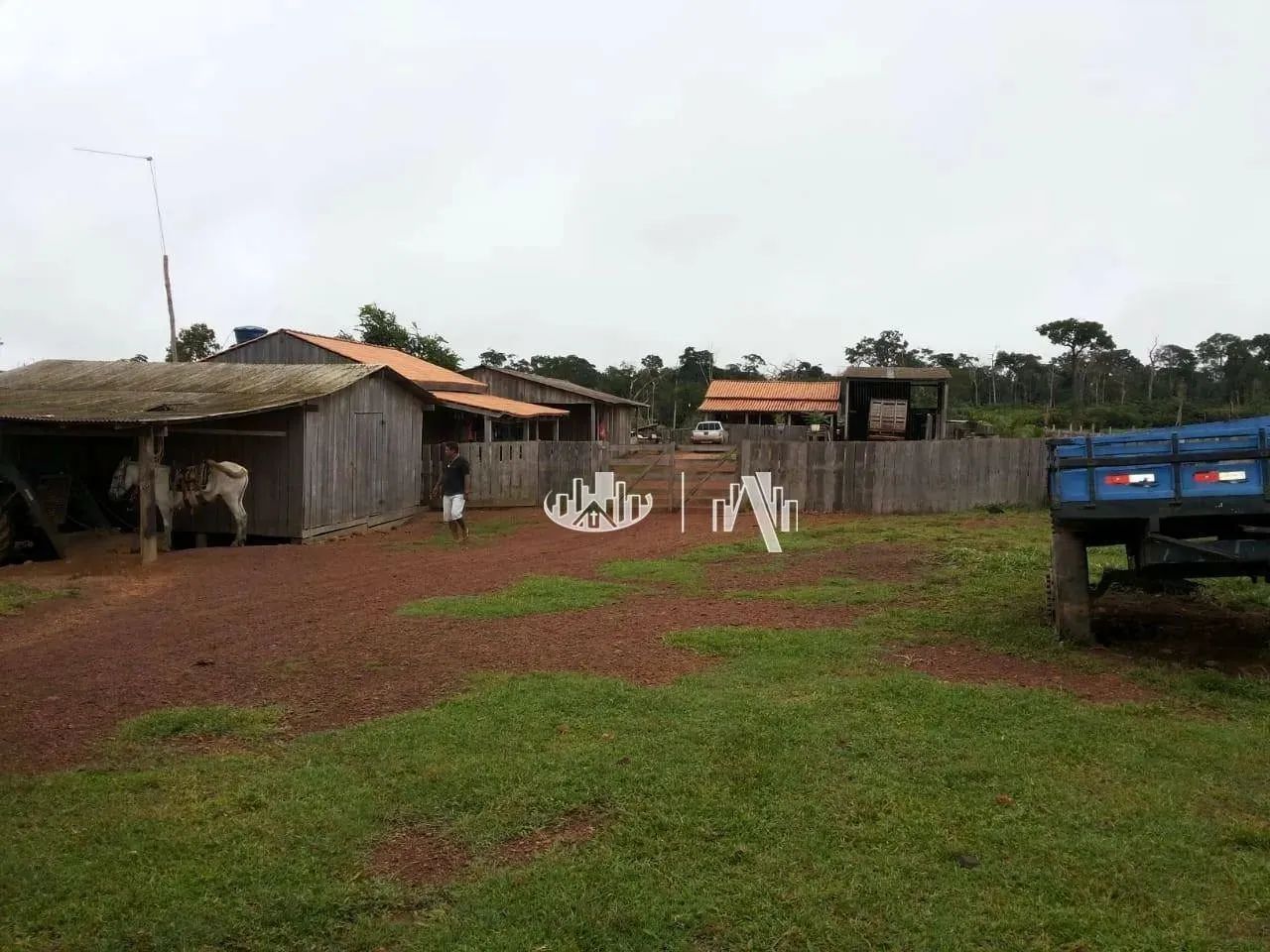 Fazenda à venda, 14520000 m² por R$ 18.200.000,00 - São Francisco - Óbidos/PA - Foto 3