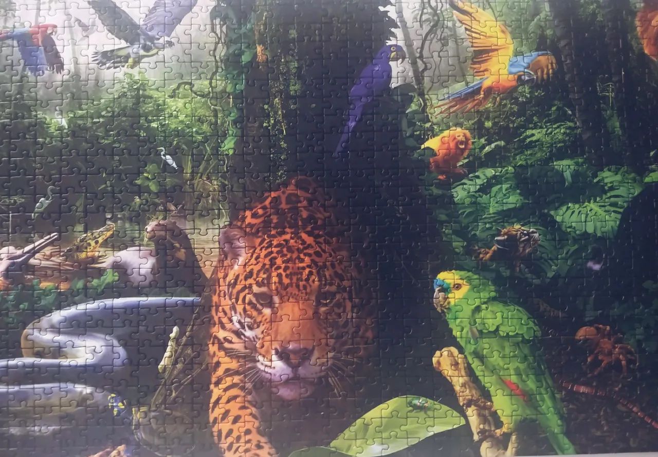 Quebra-Cabeça Panorâmico 1500 Peças - Floresta Amazônica
