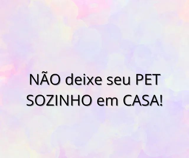 Pet sitter em Goiânia e região - Foto 2