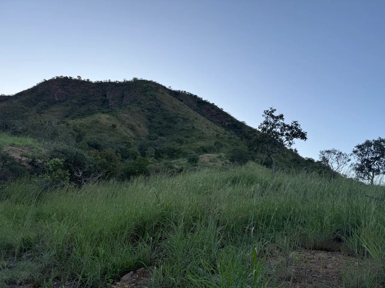 Vendo sítio de 24 alqueiros rico em água a apenas 18km da cidade de Minaçu Go - Foto 4