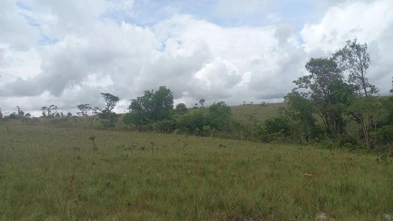 Chácara - Chapa dos Veadeiros-GO  - Foto 5
