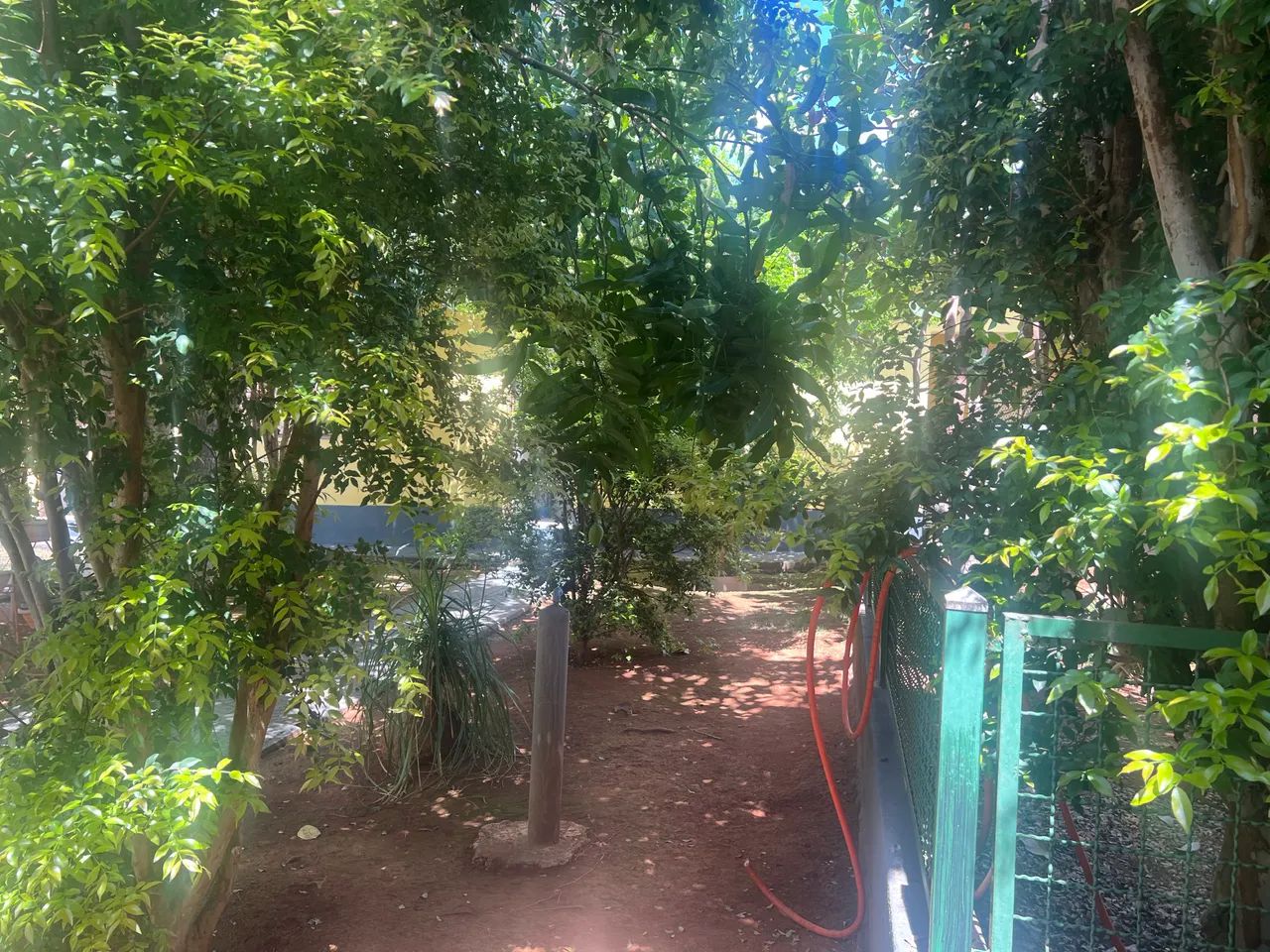 Chácara com muito verde. - Foto 2