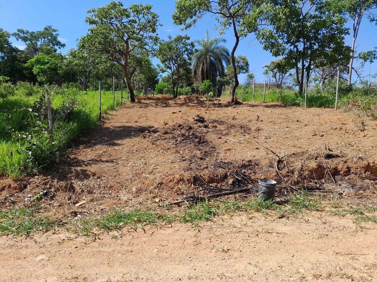 Lotes com fácil ascesso - Foto 3