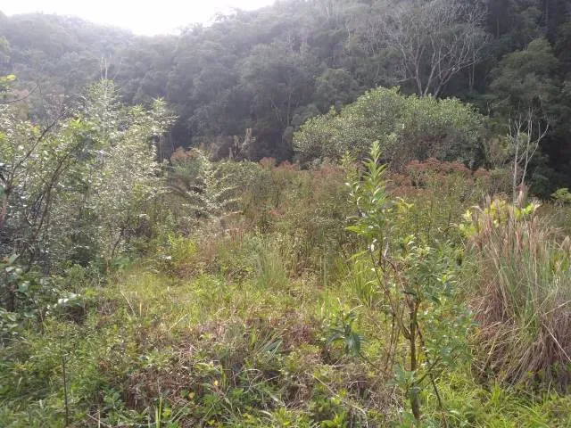 TERRENO PARA CHÁCARA NO MUNICIPÍO DE TAPIRAI, EM SÃO PAULO.
