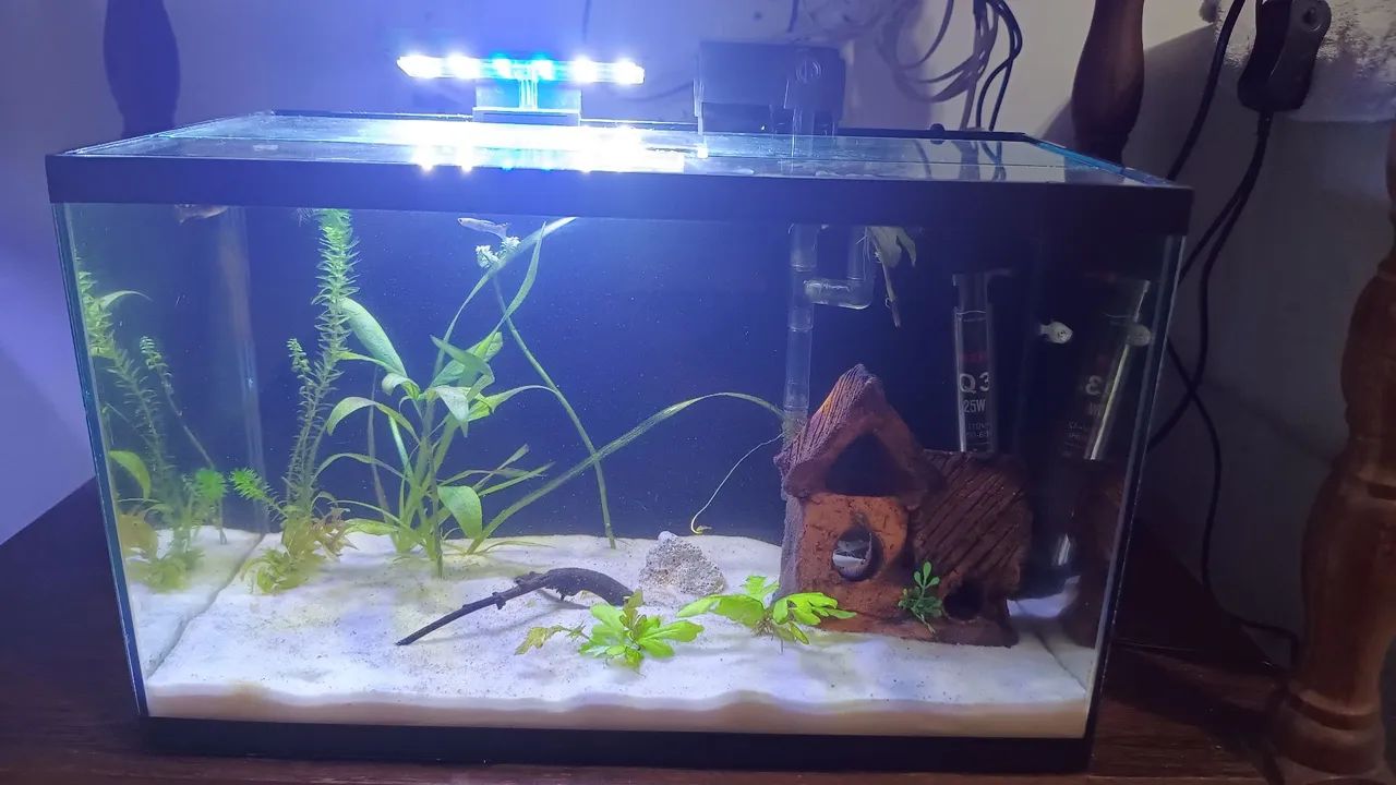 Aquário 20 Litros - Completo