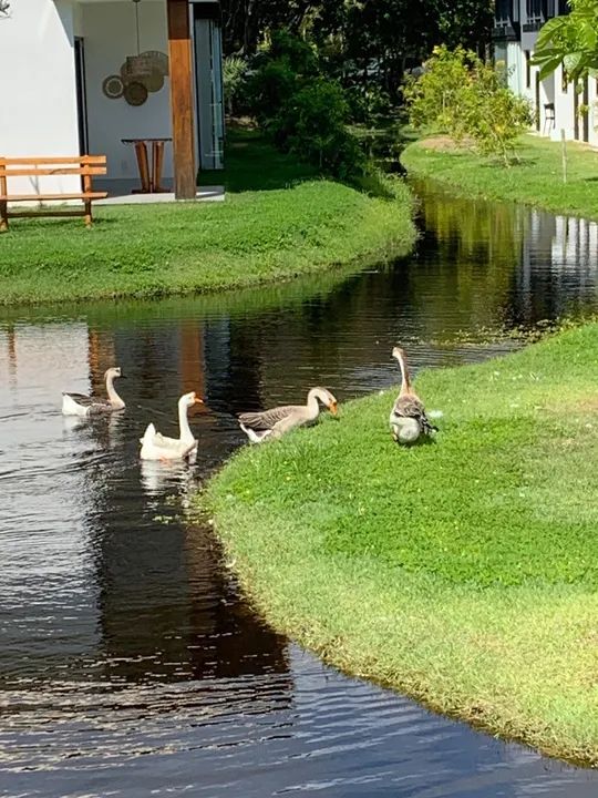 STUDIO à venda na Praia do Forte - Bahia - Foto 3
