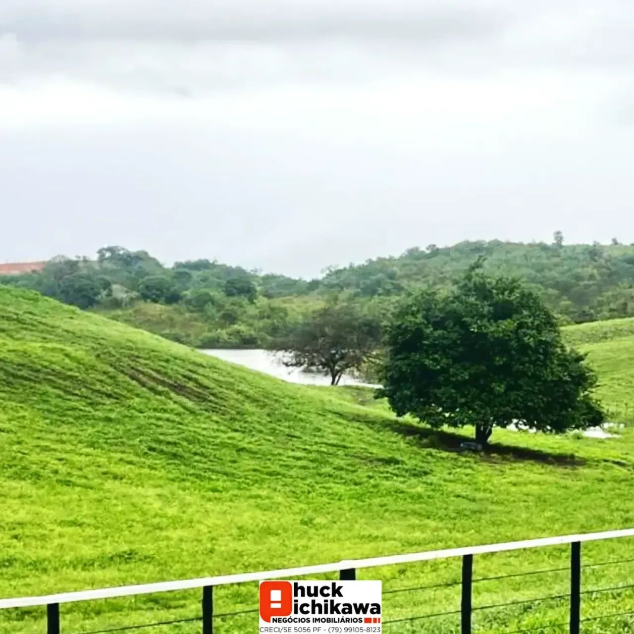 FAZENDA de 230 tarefas  Santo Amaro das Brotas - Foto 4