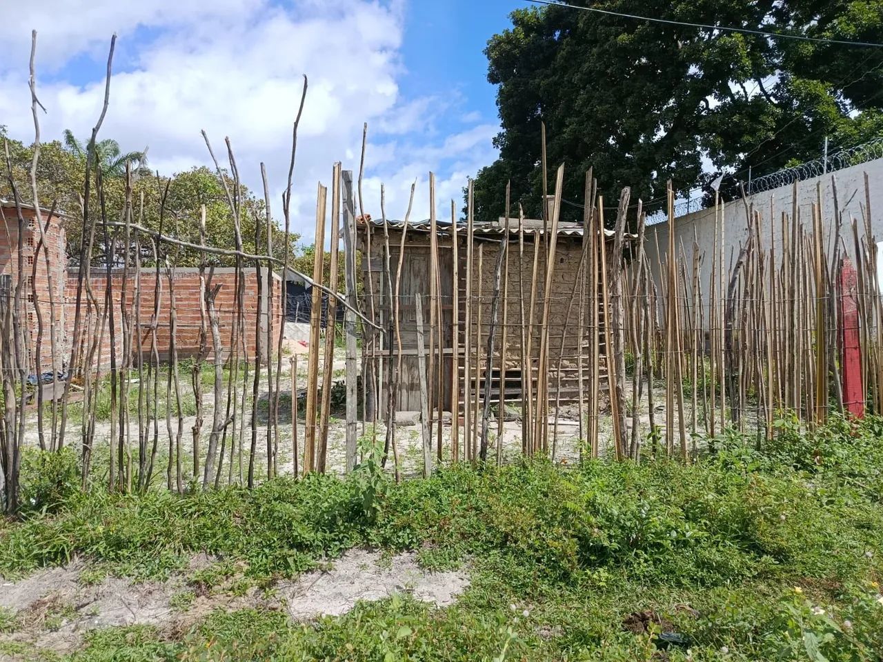 Terreno top pra negócio  - Foto 3