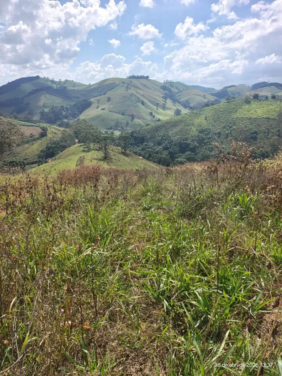 Terreno com 20 hectares em Maria da Fé MG - Foto 2