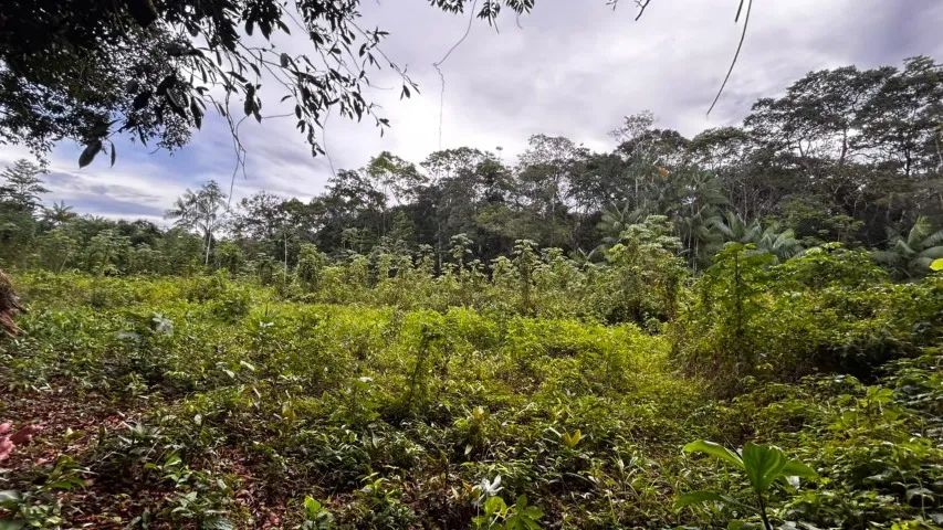 Terreno 3.000m² às margem do Rio Matapi - Foto 4