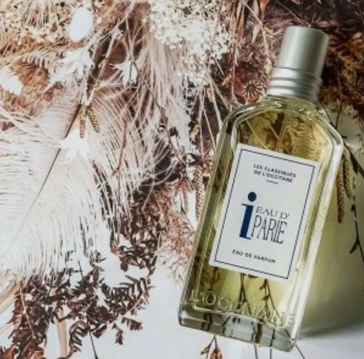 Perfume