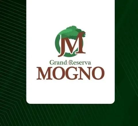 Repasse Lote grand reserva Mogno 
