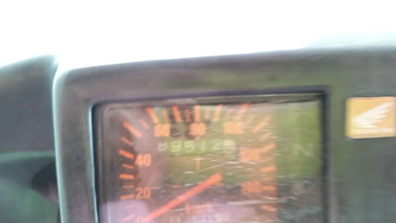 Sahara  - Foto 3