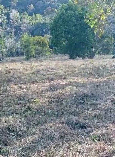 Terreno em Itacaré-BA - Foto 3