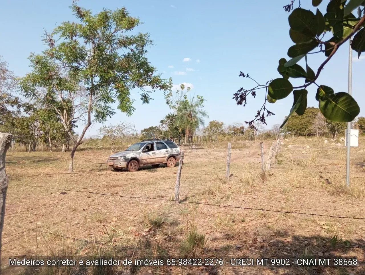 sítio de 30 hectares no assentamento comunidade sadia 3 - Foto 3