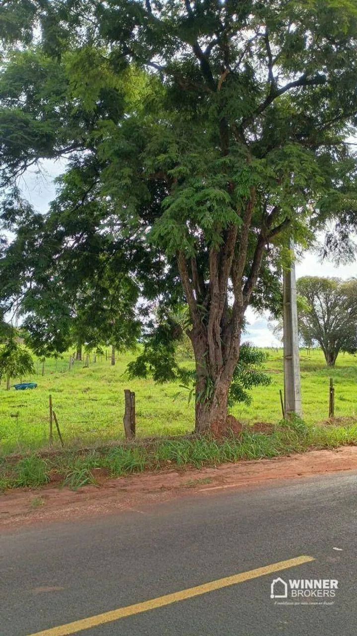Excelente chácara em Uniflor - Foto 2