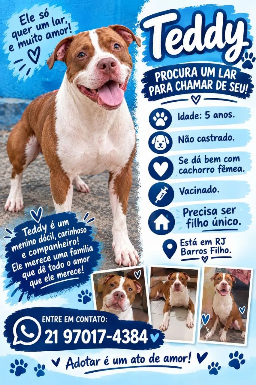 Doação responsável 