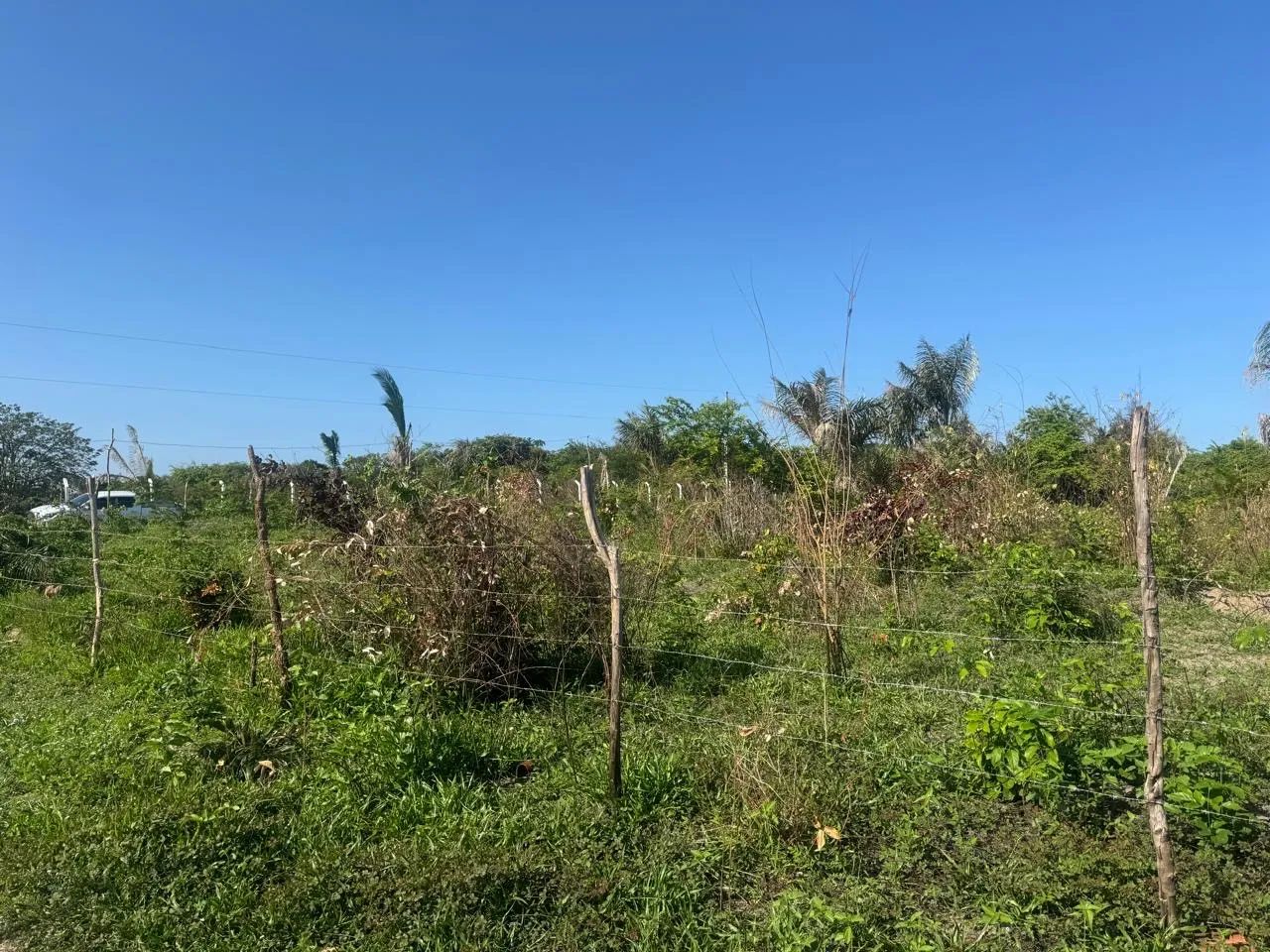Terreno em panaquatira
