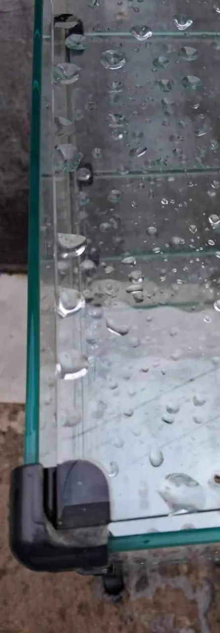 Vitrine - Foto 3