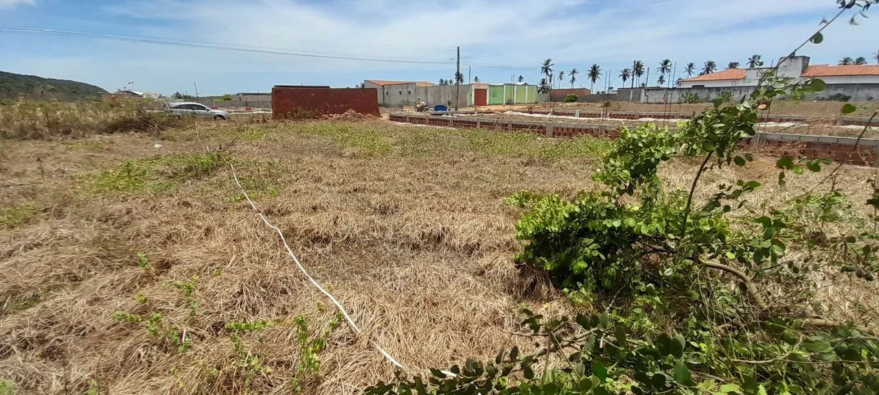 Terreno em lagoa do pau coruripe  - Foto 4