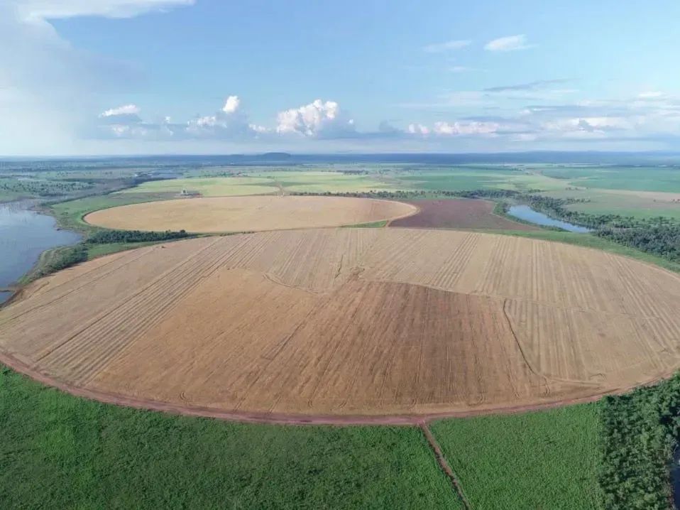 Fazenda extra a venda no Goiás!!!