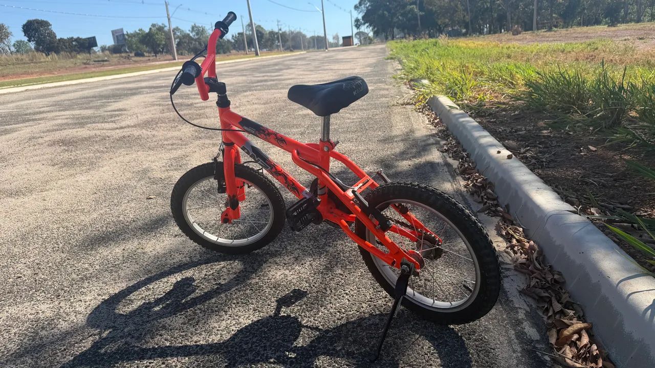 Bicicleta infantil DNZ 