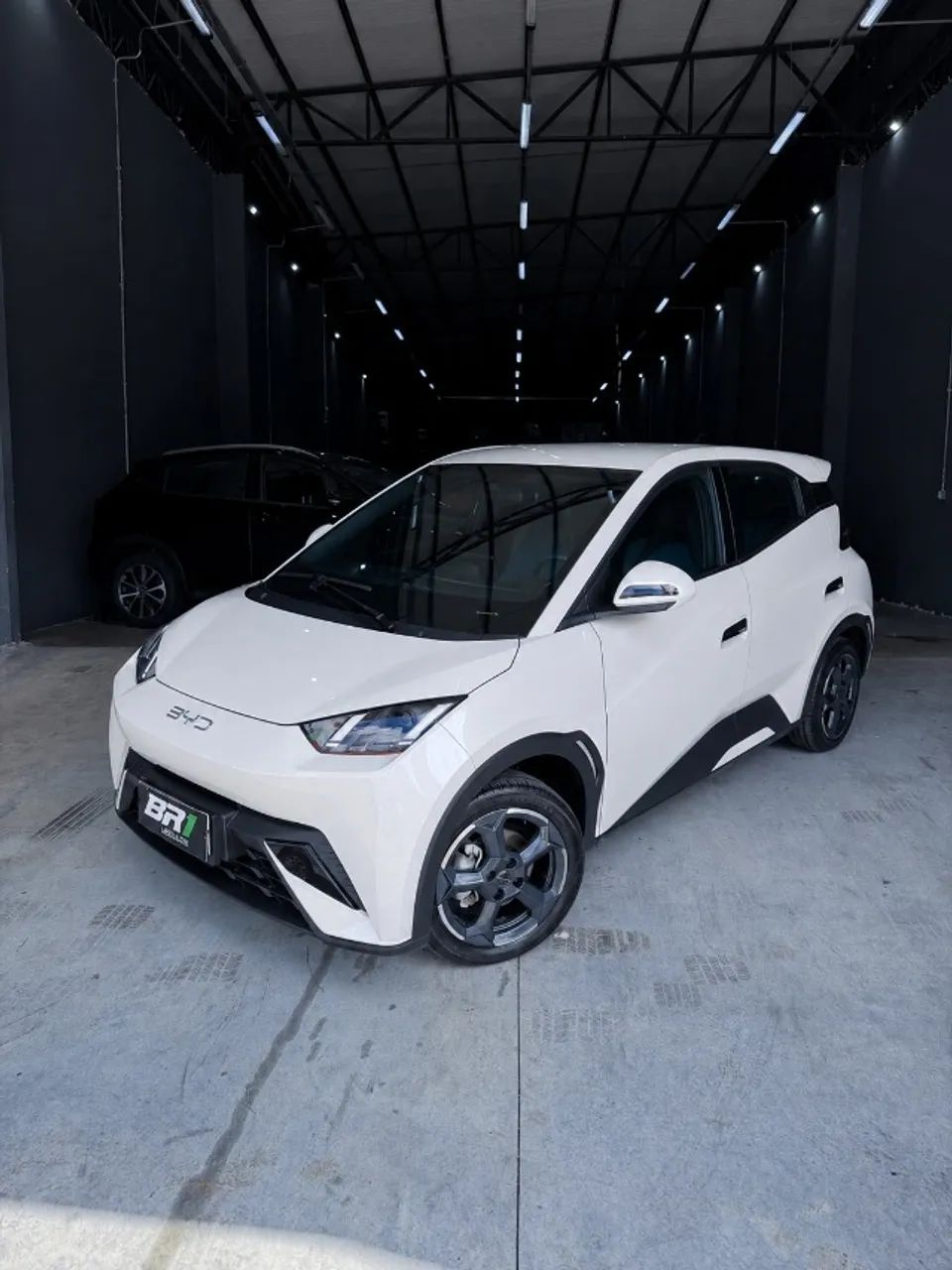 BYD Dolphin Mini (Elétrico) 2025 - Foto 2