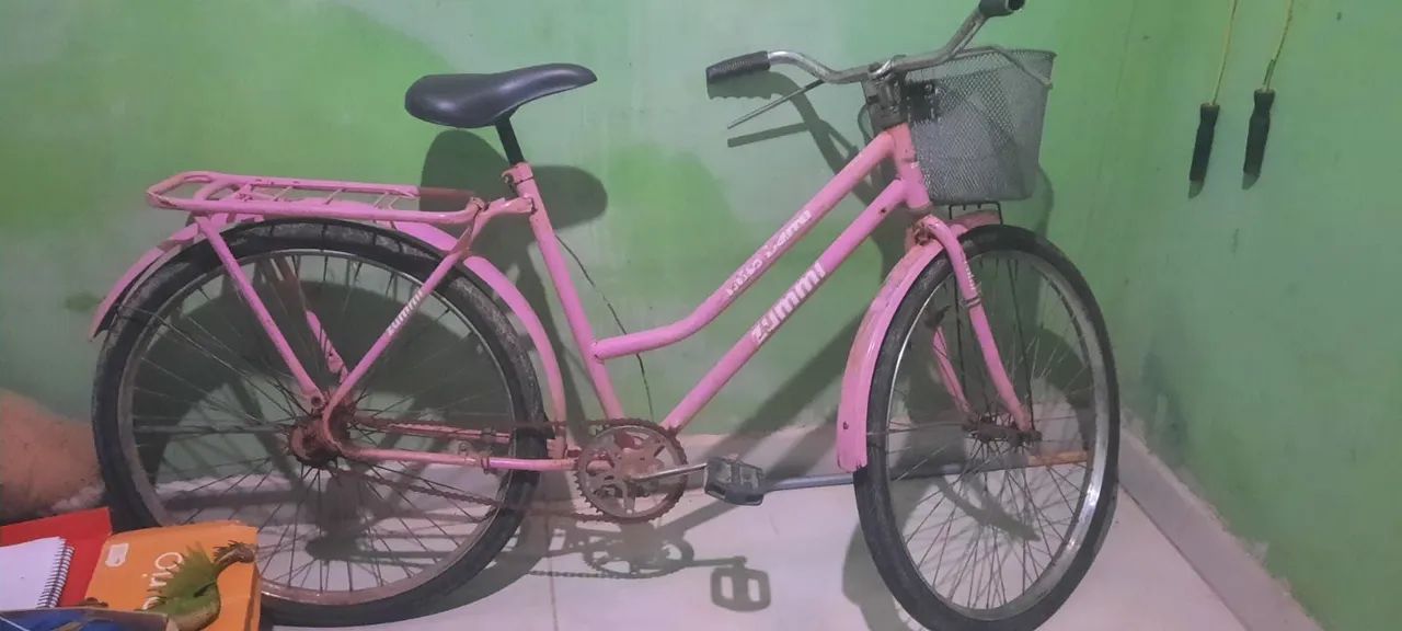 Bicicleta.