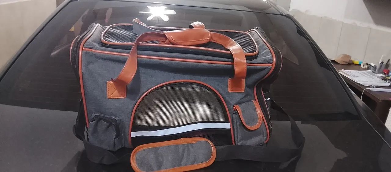 Bolsa Pet Cia Aérea 