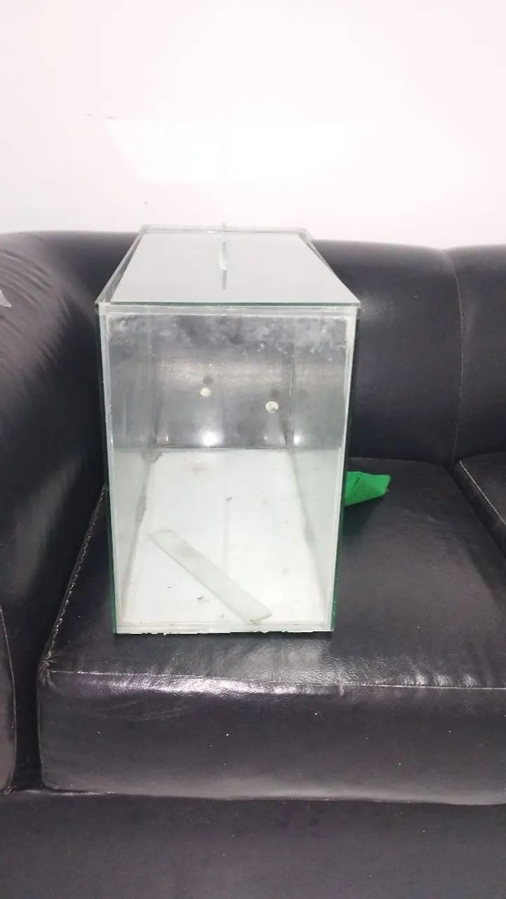 Vendo Aquário  - Foto 3