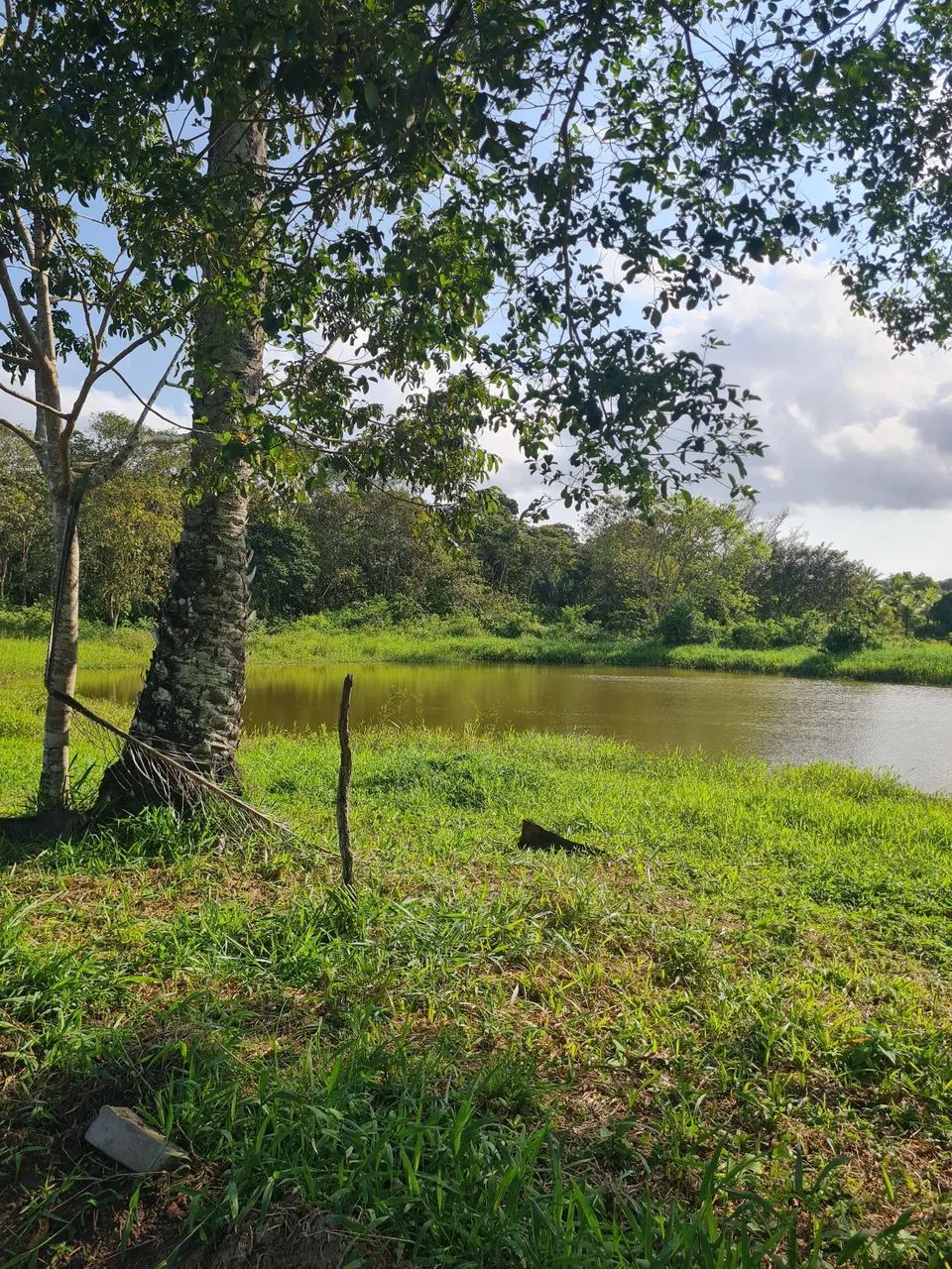  BR 324. Vendo terreno 2.500 m2