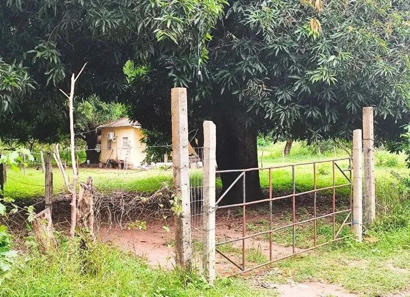 Foto - Águas Mornas - Área Rural