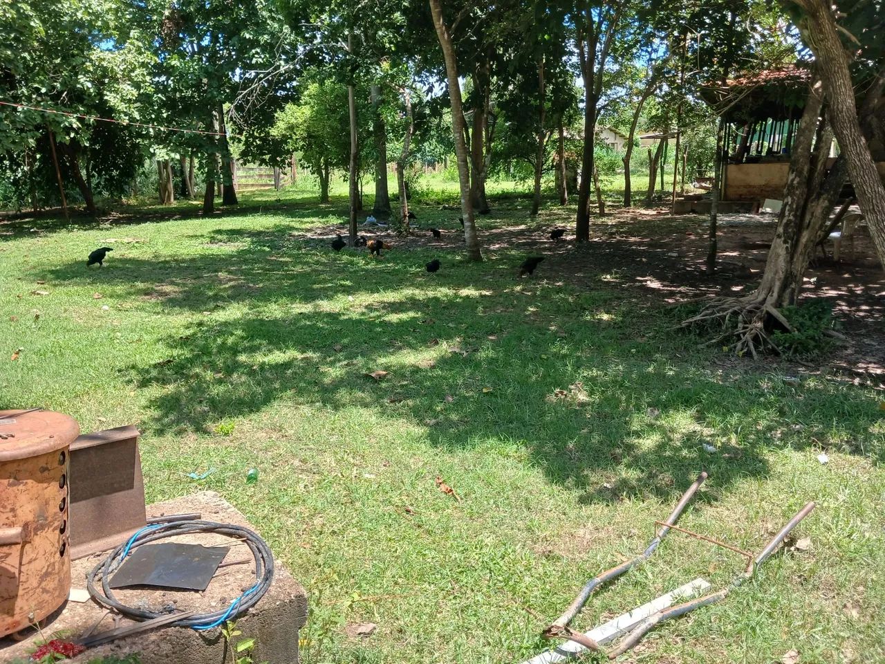 Fazenda - Foto 4