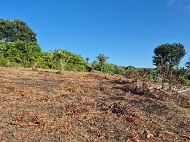 Dois Terrenos à venda em Tonantins - AM - Foto 4