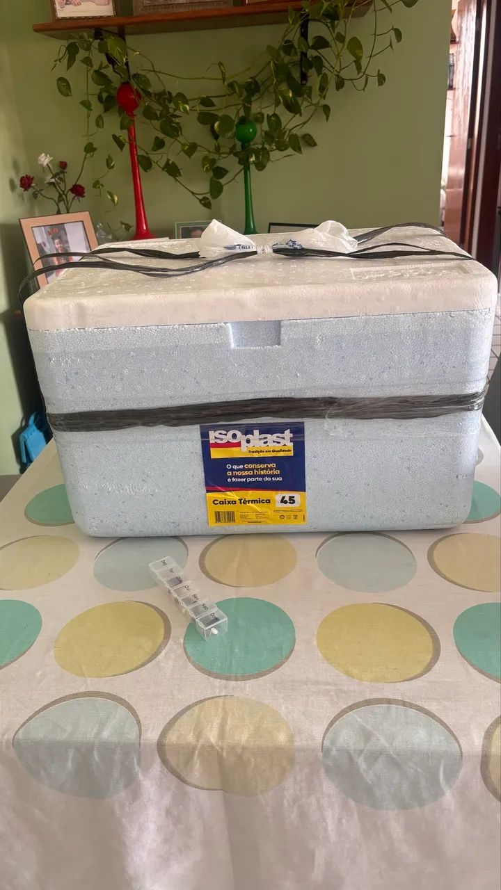 Peixe CAIXA TERMICA Isopor ou Isopores varios lts CADA - Foto 2