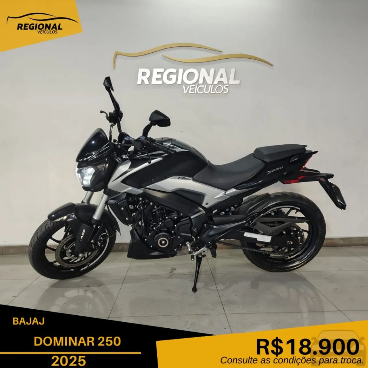 DOMINAR 250 - Foto 3